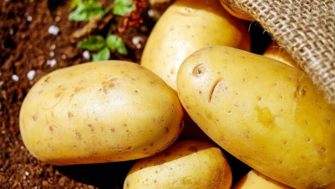 Minister rolnictwa podpisał rozporządzenie, które wprowadzi znakowanie ziemniaków