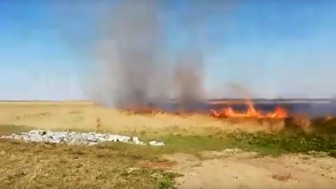 Paliły się trawy i trzcinowiska w gminie Kruszwica